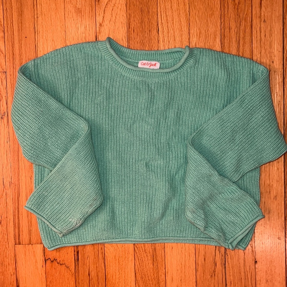 Mint green cat and Jack sweater